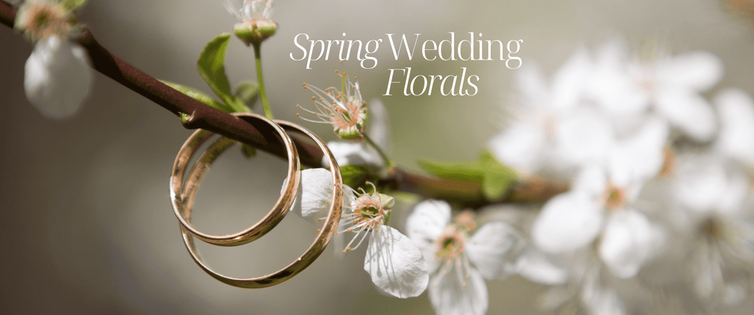 A Guide to Planning Your Stunning Spring Wedding in Melbourne