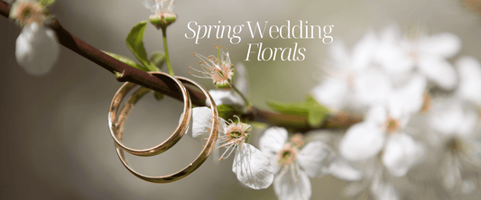 A Guide to Planning Your Stunning Spring Wedding in Melbourne