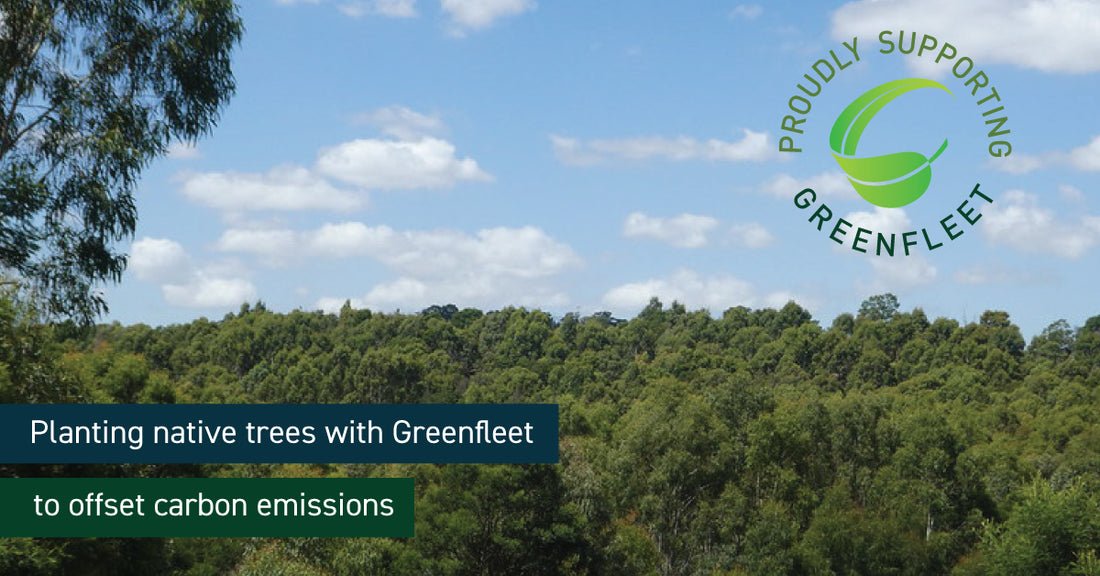 Embracing Sustainability: Bituin Partners with Greenfleet to Reduce Carbon Footprint