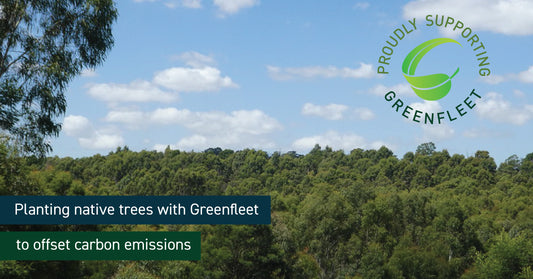 Embracing Sustainability: Bituin Partners with Greenfleet to Reduce Carbon Footprint