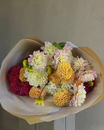 A bouquet of dahlias | Seasonal