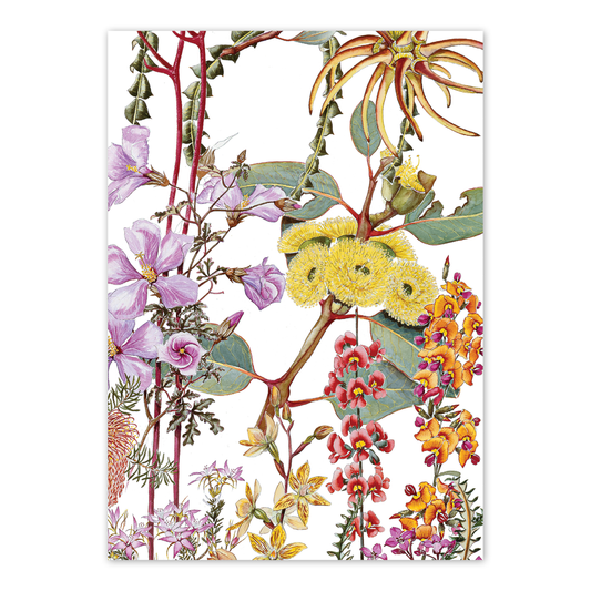 Wildflowers of the Southern Heathland | A6 Greeting Card