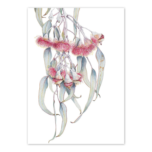 Eucalyptus Silver Princess | A6 Greeting Card