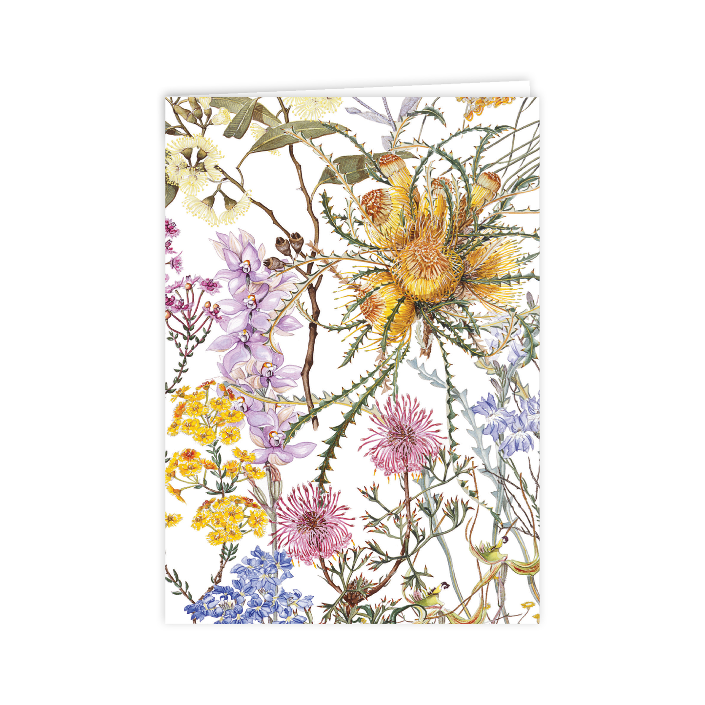 Wildflowers of the Southern Wheatbelt | A6 Greeting Card