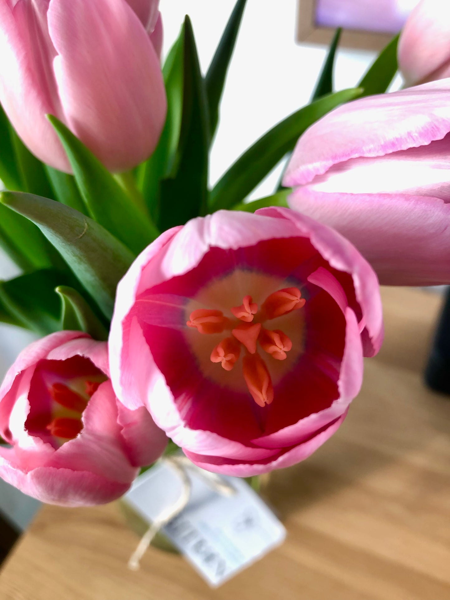 A bouquet of tulips