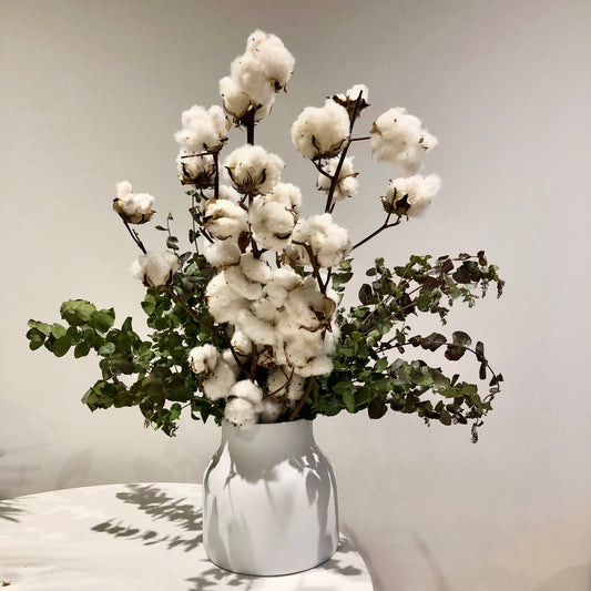 Softly, softly | Long lasting cotton arrangement