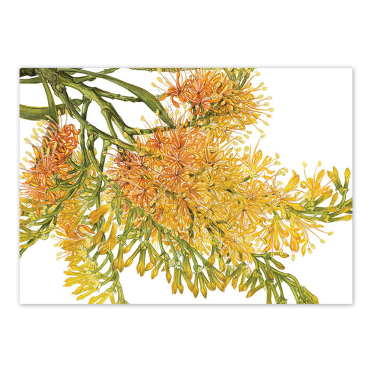 WA Christmas Tree | A6 Greeting Card